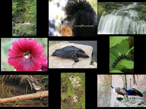 klicke hier, um die Datei herunterzuladen Bilder-Galerie vom 26082019 7