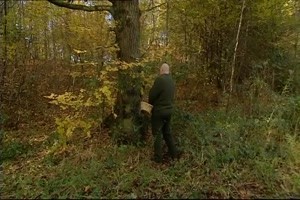 der Toilettenbesuch im Wald