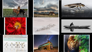 2015 It s Amazing Out There Photo Contest Winners Finalists