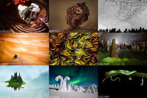 klicke hier, um die Datei herunterzuladen bigpicturenaturalworldphotographycompetition2015-15071714123