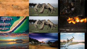 klicke hier, um die Datei herunterzuladen Africa s Photographer of the Year 2017