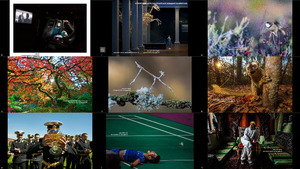 klicke hier, um die Datei herunterzuladen Best National Geographic Your Shot Photos of the Week 2018.1