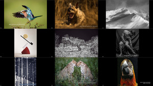 klicke hier, um die Datei herunterzuladen 2019 Sony World Photography Awards Entries of the Week Ju