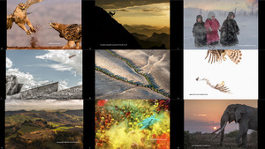 klicke hier, um die Datei herunterzuladen Photo of Day from Siena International Photography Awards 201