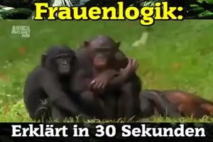 Frauenlogik :