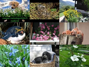 Rocco sendet Fruehlingsboten lassen Gruessen