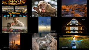 klicke hier, um die Datei herunterzuladen Best National Geographic Your Shot Photos of the Week 2019