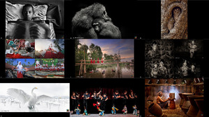 klicke hier, um die Datei herunterzuladen Photo of the Day from HIPA 201902