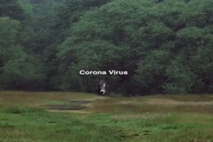 Der Corona-Virus im Anmarsch
