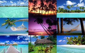 tropical paradise - Tropisches Paradies