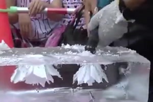 Eiskünstler