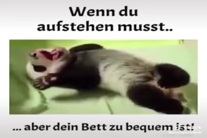 Wenn du aufstehen musst... Aber dein Bett zu bequem ist !