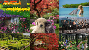 klicke hier, um die Datei herunterzuladen garden flower and friendship