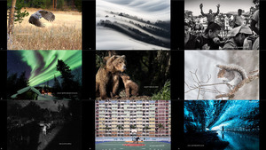 the 14th annual smithsonian photocontest