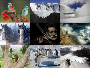klicke hier, um die Datei herunterzuladen photo-mix7