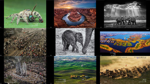 2019 ONYX International Exhibitions of Photography Romania