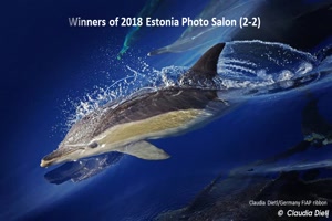 Winners of 2018 Estonia Photo Salon 2-2