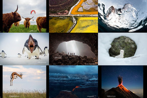 klicke hier, um die Datei herunterzuladen photooftheday-bestofthebest2015