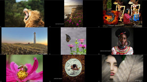 klicke hier, um die Datei herunterzuladen AGORA Images Beauty 2019 Photo Contest Top 50