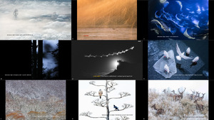 Asferico International Nature Photography Competition 2019