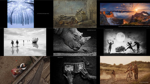 klicke hier, um die Datei herunterzuladen 35awards2016-100 best artphotos of the year part1