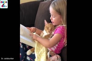 Katzen lieben Kinder und Kinder lieben Katzen