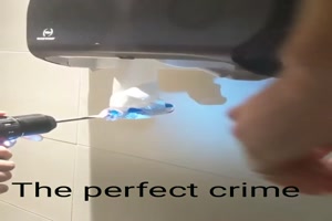 The Toiletpaper Perfect Crime