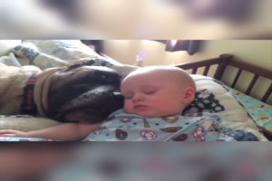 Baby's & Hunde schlafen ( zusammen)