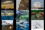 2018-Siena-International-Photo-Awards-Winners-5-3.ppsx auf www.funpot.net