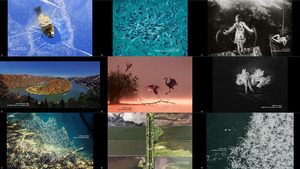 2018 WaterPIX Photo Competition Winners