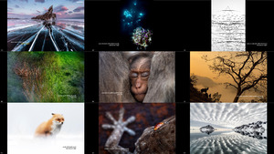 Nature Photographer of the Year NPOTY 2018 Winners