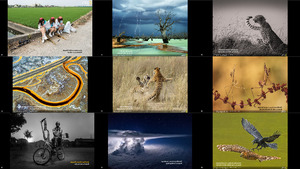Review National Geographic Photo Contest 2013 2016