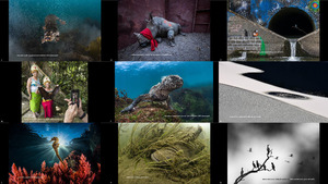 The Winners of GDT European Wildlife Photographer of the Yea