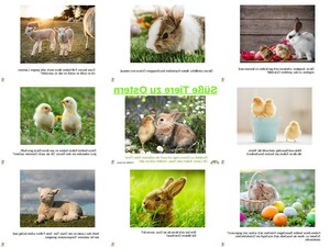 ssse Tiere zu Ostern