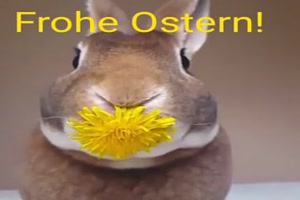 Frohe Ostern