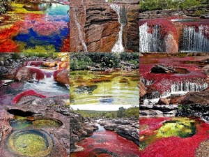 Cano Cristales