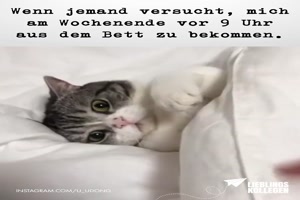 wenn-jemand-versucht,-mich-am-Wochenende-vor-9-Uhr.........mp4 auf www.funpot.net