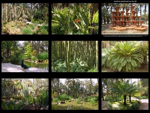 Huerto Del Cura Jardn Artstico Nacional - Garten