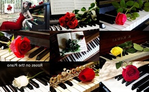 Roses on the Piano - Rosen am Klavier