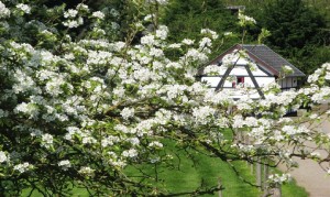 Follow the Sun - Folge der Sonne ... nicht blttern