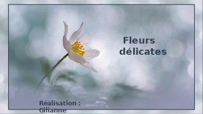 Fleurs dlicates - Zarte Blumen ... nicht blttern