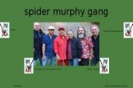 spider-murphy-gang-002.ppsx auf www.funpot.net