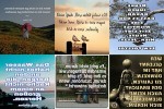 . auf www.funpot.net