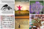 . auf www.funpot.net