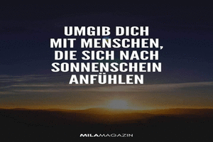 Mensch Blender Sprüche