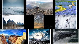 2015 its amazing out there photocontest winners finalists