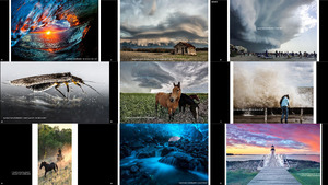 2015 its amazing out there photocontest winners finalists