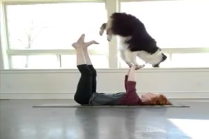 Gymnastik mit Hund