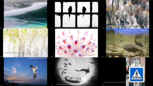 Asferico International Nature Photography Competition 2019