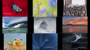 Winners of The Nature Conservancy s 2019 Photo Contest